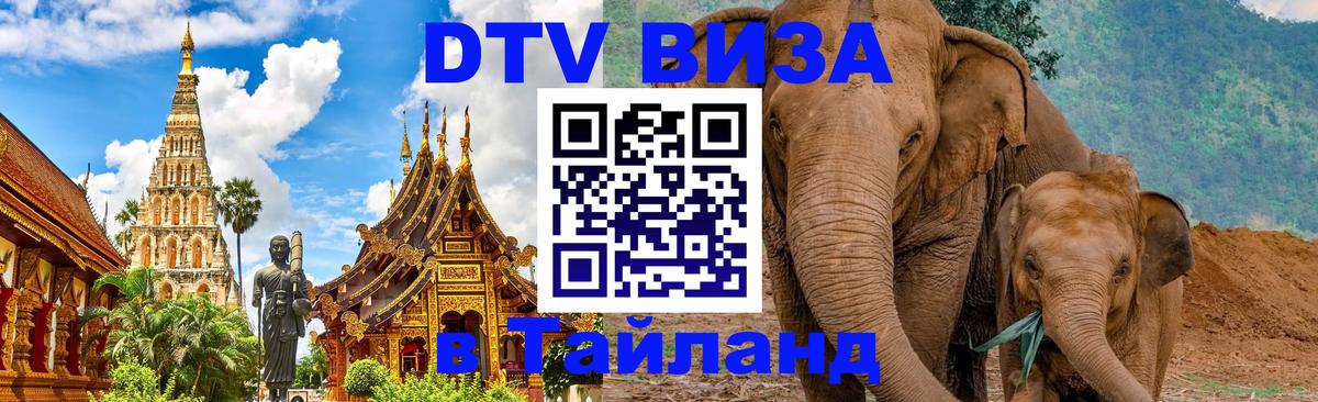 Сколько стоит DTV виза — актуальные цены, оформление даже без документов - 02.10.2025 